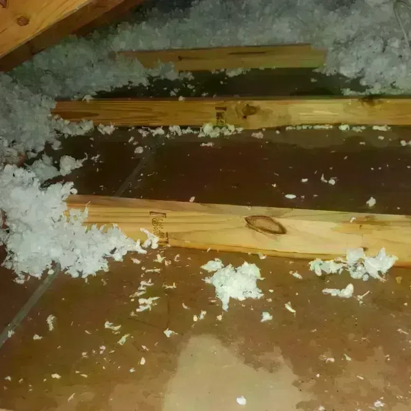 Attic Water Damage in Stone Mountain, GA